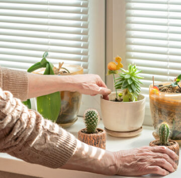 Assisted living advisor Company Long Island NY