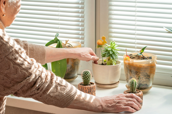 Assisted living advisor Company Long Island NY