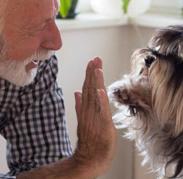 Assisted living advisor Long Island NY