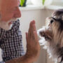 Assisted living advisor Long Island NY