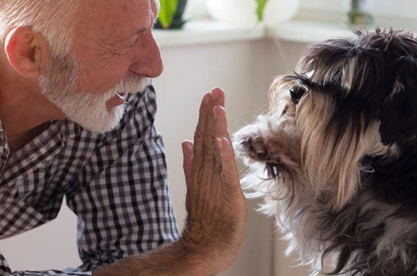 Assisted living advisor Long Island NY
